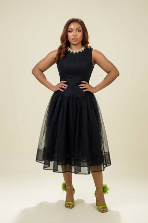 Pearl Embellished Midi Dress