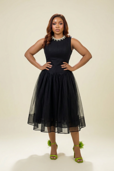 Pearl Embellished Midi Dress