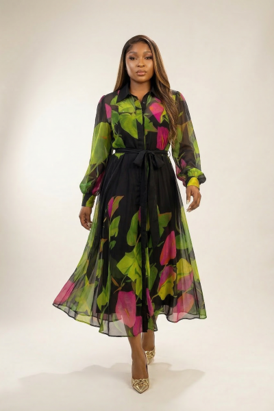 Chiffon Long Sleeves Midi Dress