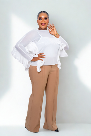 Ruffled Sleeves Chiffon Top