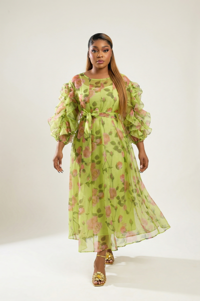 Chiffon Dress With Ruffled Sleeves