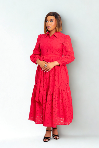 Long Sleeves Midi Dress