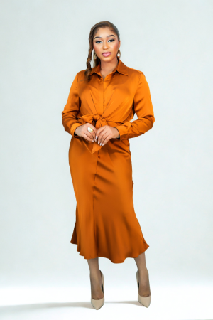 Silk Front Tie Dress