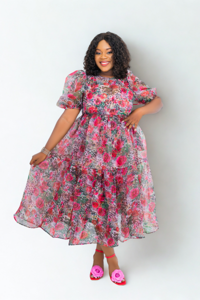 2 Piece Organza Dress