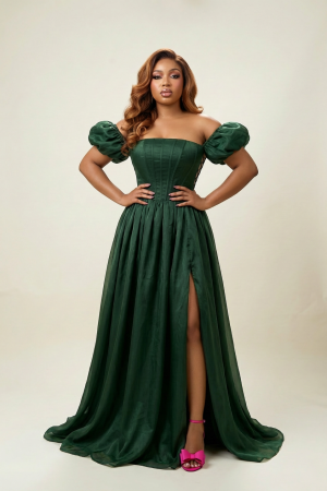 Strapless Corset Organza Dress