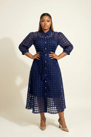 Studded Organza Shirt Dress