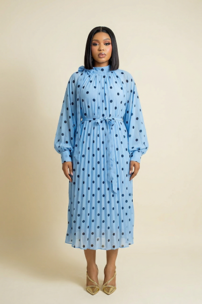 Polka Dot Pleated Dress