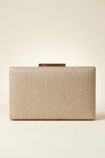 Rectangular Clasp Purse