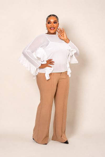 Ruffled Sleeves Chiffon Top