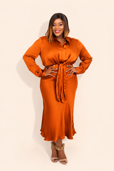 Silk Front Tie Dress